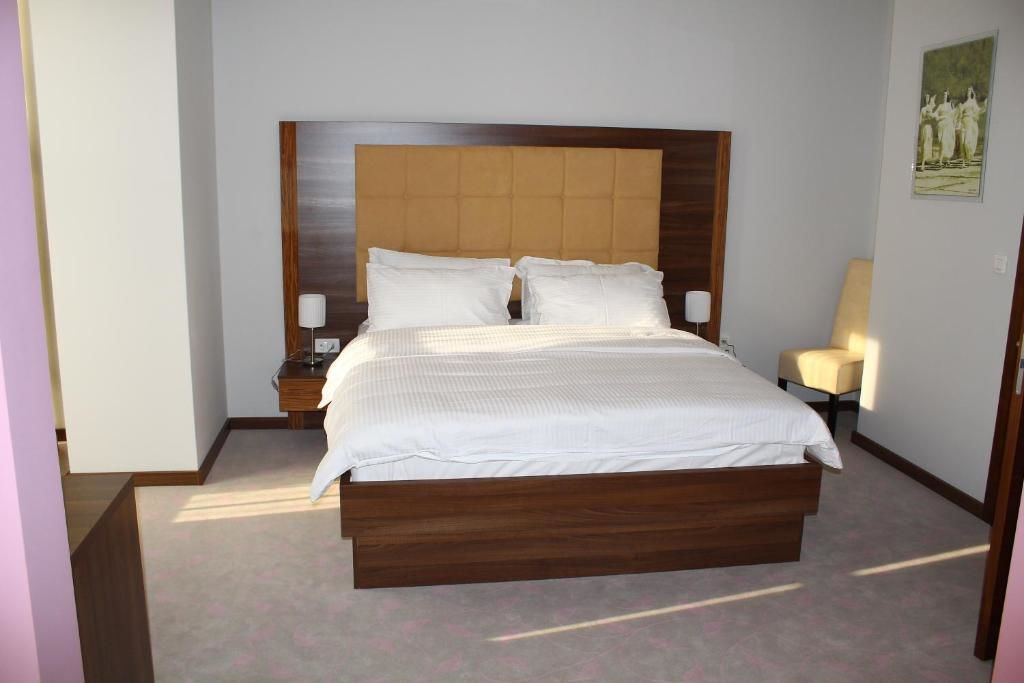 Отель Hotel Franca Плевля
