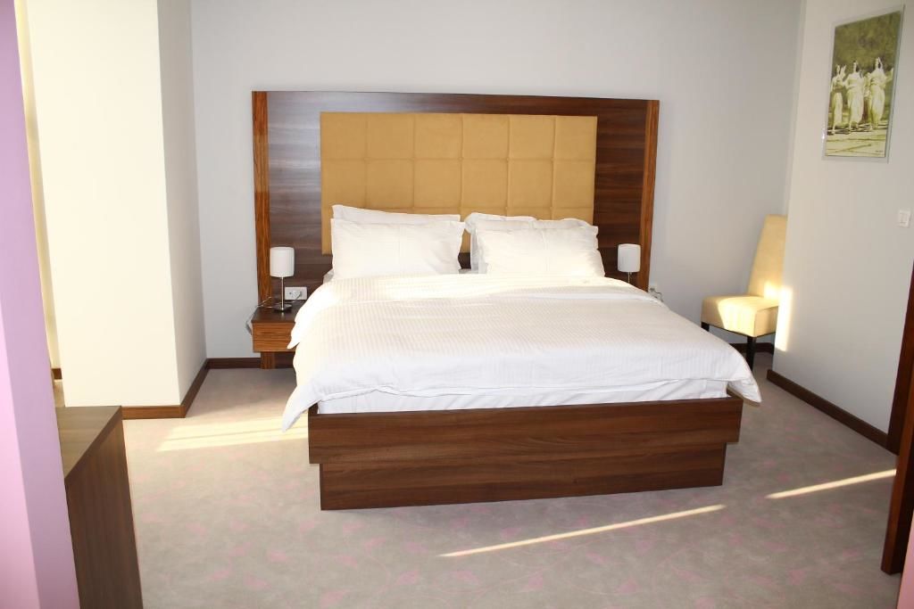 Отель Hotel Franca Плевля