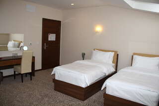 Отель Hotel Franca Плевля Двухместный номер с 1 кроватью-4