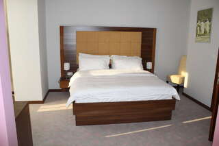 Отель Hotel Franca Плевля Одноместный номер-4