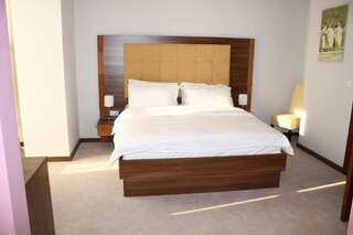 Отель Hotel Franca Плевля Одноместный номер-8
